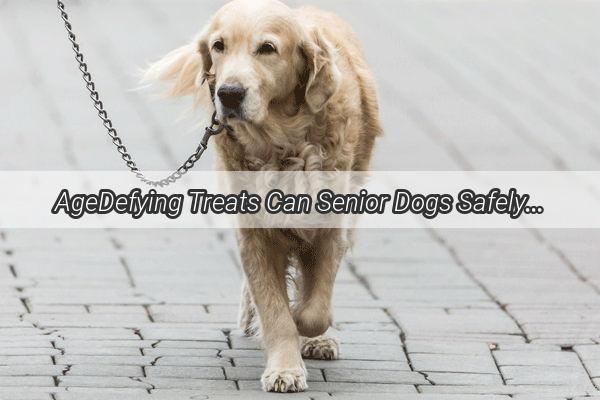 AgeDefying Treats Can Senior Dogs Safely Savor the 21Vitamin Supplement